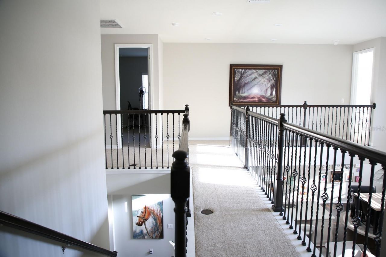 18783 Birchwood Groves Drive, Lutz, FL 33558 Photo