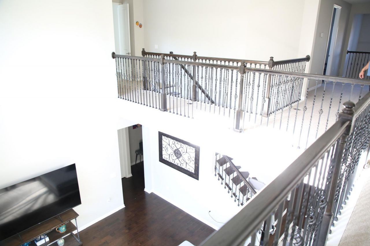 18783 Birchwood Groves Drive, Lutz, FL 33558 Photo