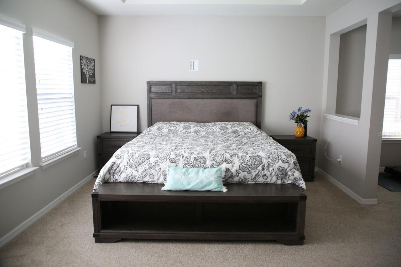 18783 Birchwood Groves Drive, Lutz, FL 33558 Photo