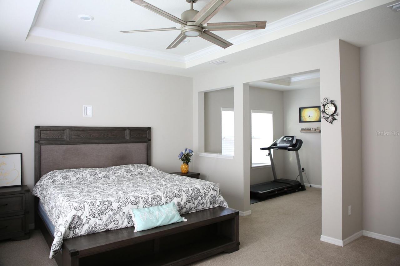 18783 Birchwood Groves Drive, Lutz, FL 33558 Photo