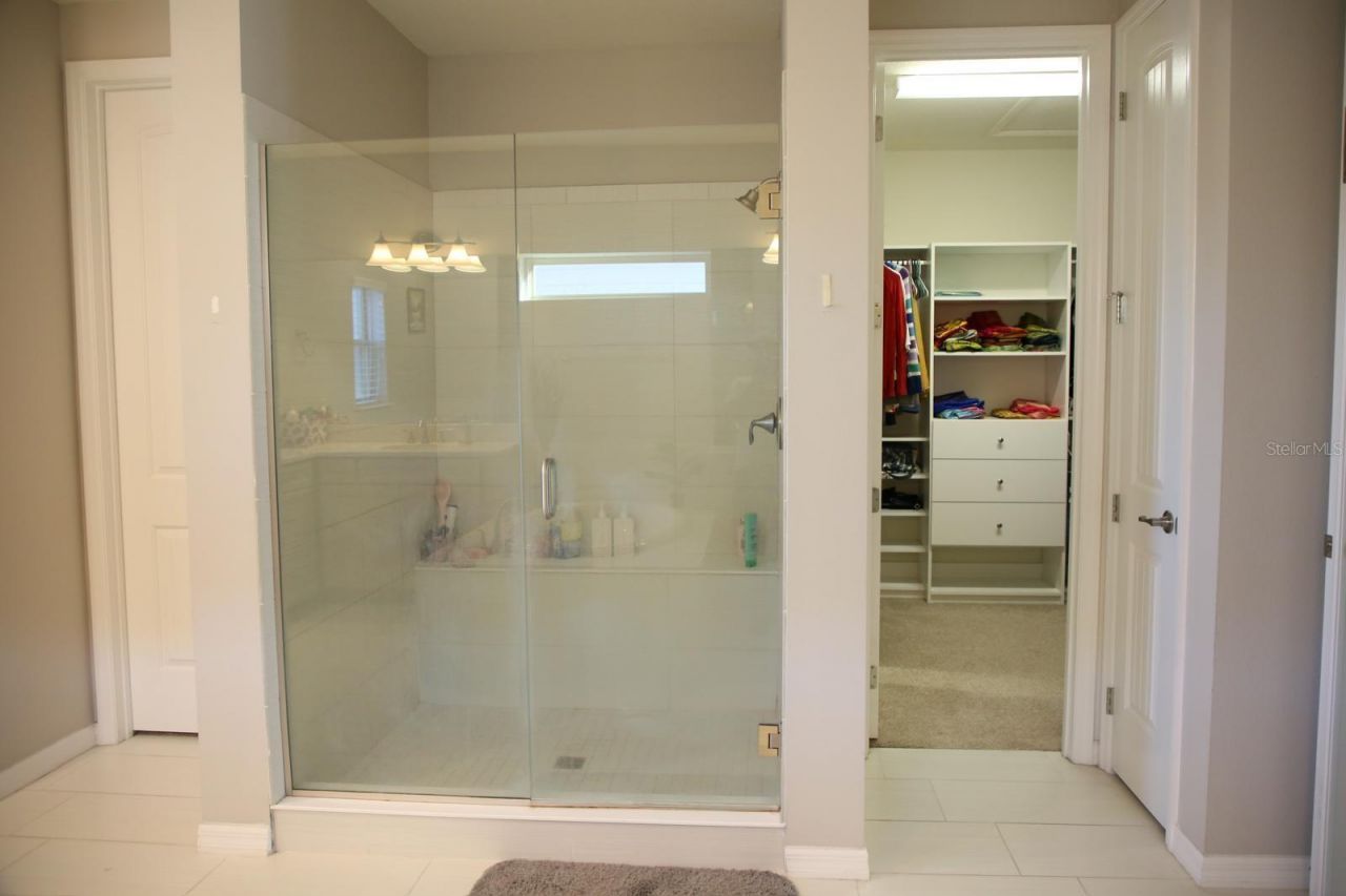 18783 Birchwood Groves Drive, Lutz, FL 33558 Photo