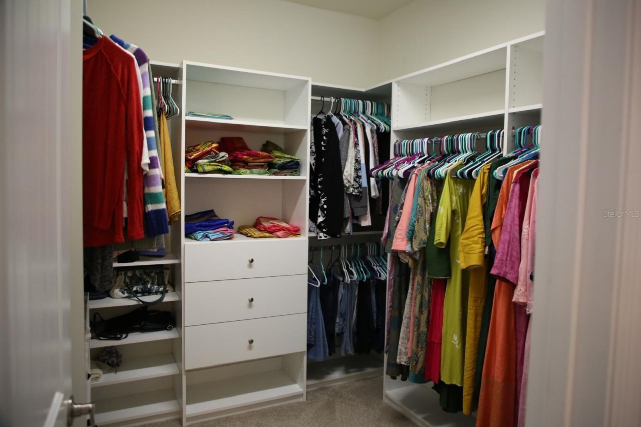 18783 Birchwood Groves Drive, Lutz, FL 33558 Photo