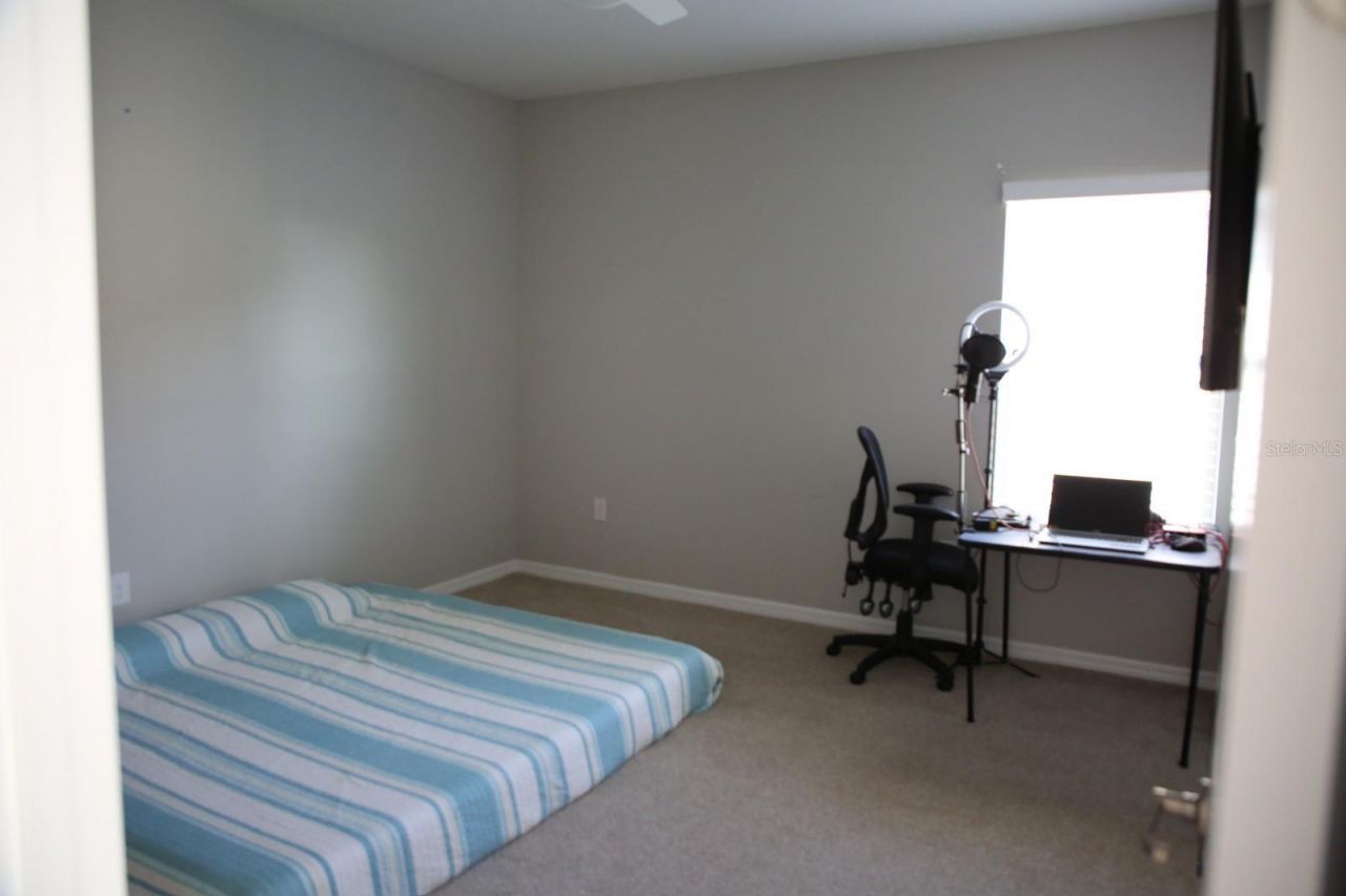 18783 Birchwood Groves Drive, Lutz, FL 33558 Photo