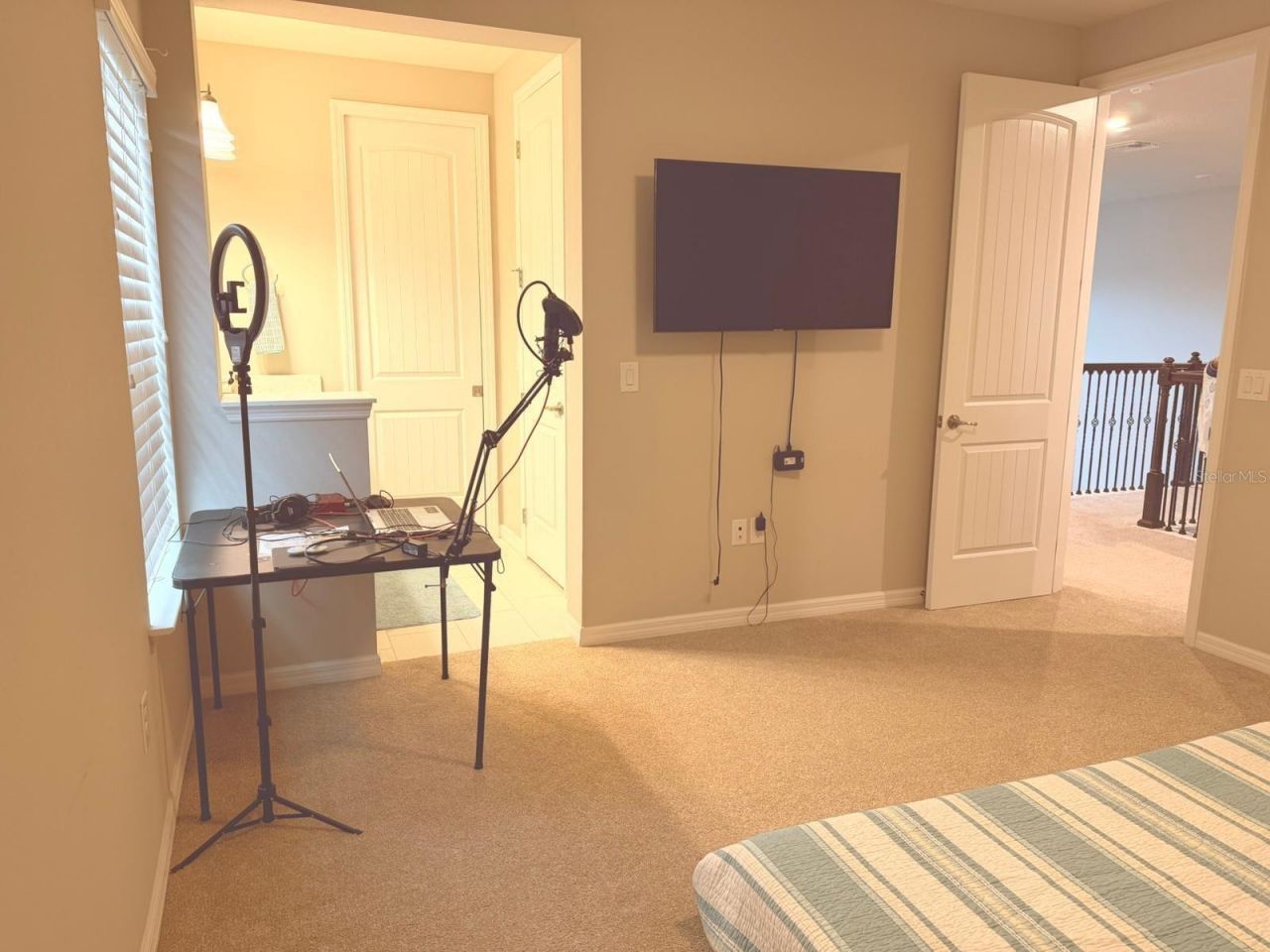 18783 Birchwood Groves Drive, Lutz, FL 33558 Photo