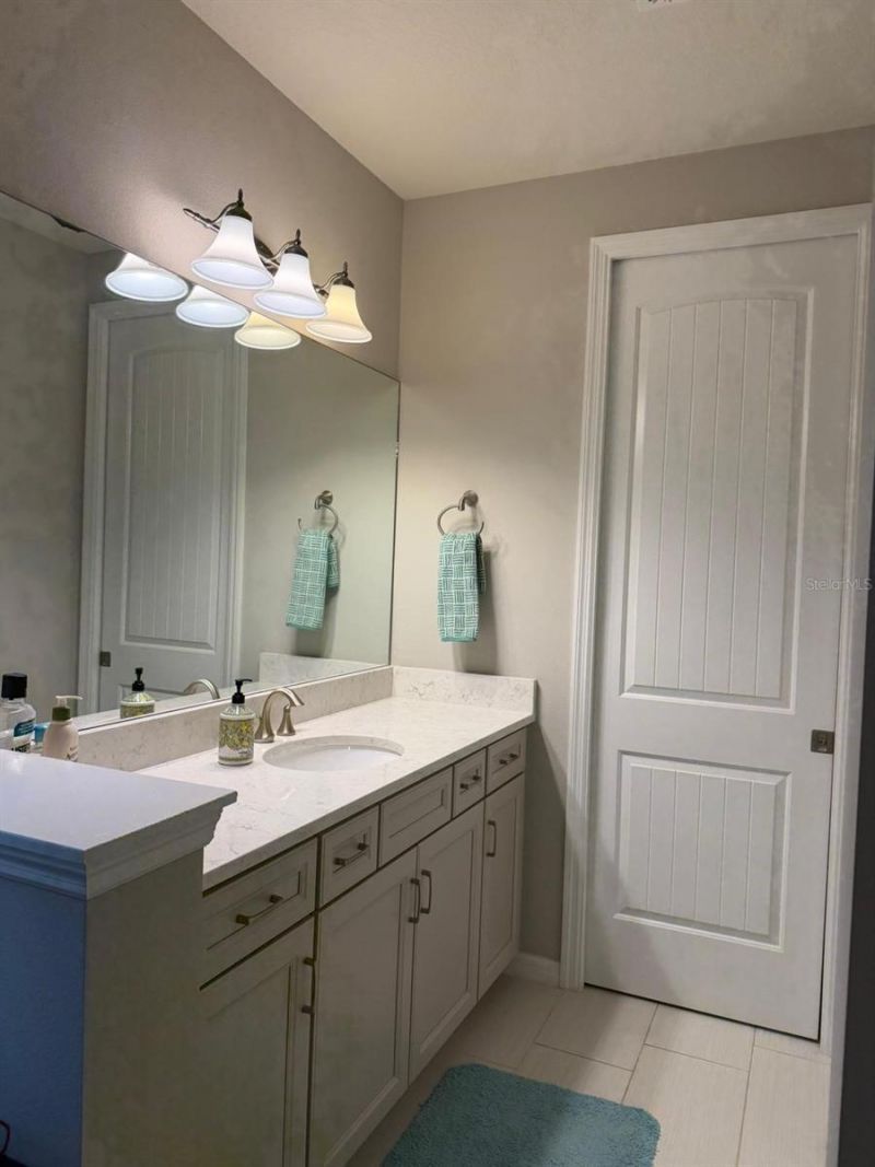 18783 Birchwood Groves Drive, Lutz, FL 33558 Photo