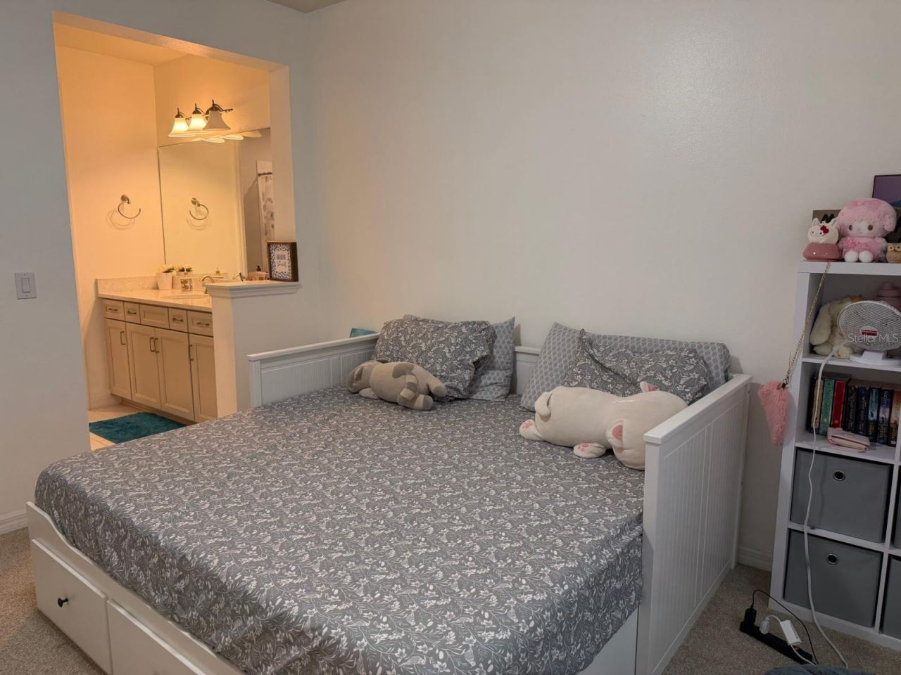 18783 Birchwood Groves Drive, Lutz, FL 33558 Photo