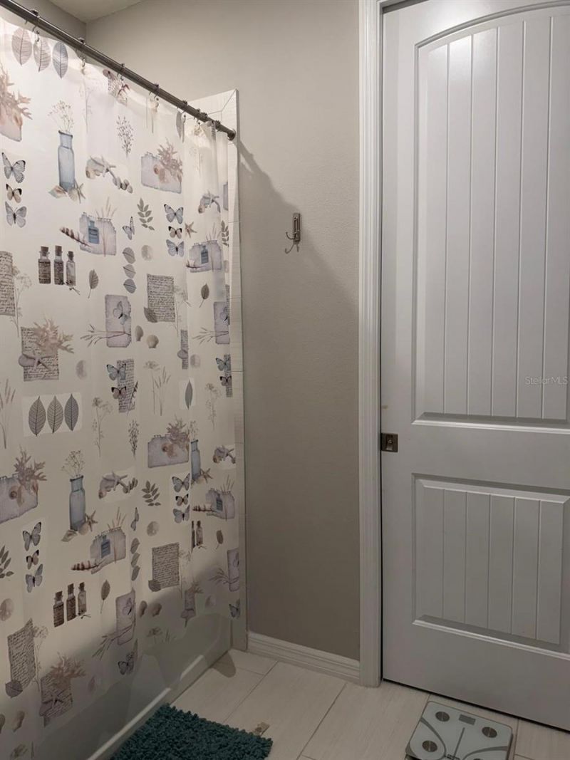 18783 Birchwood Groves Drive, Lutz, FL 33558 Photo