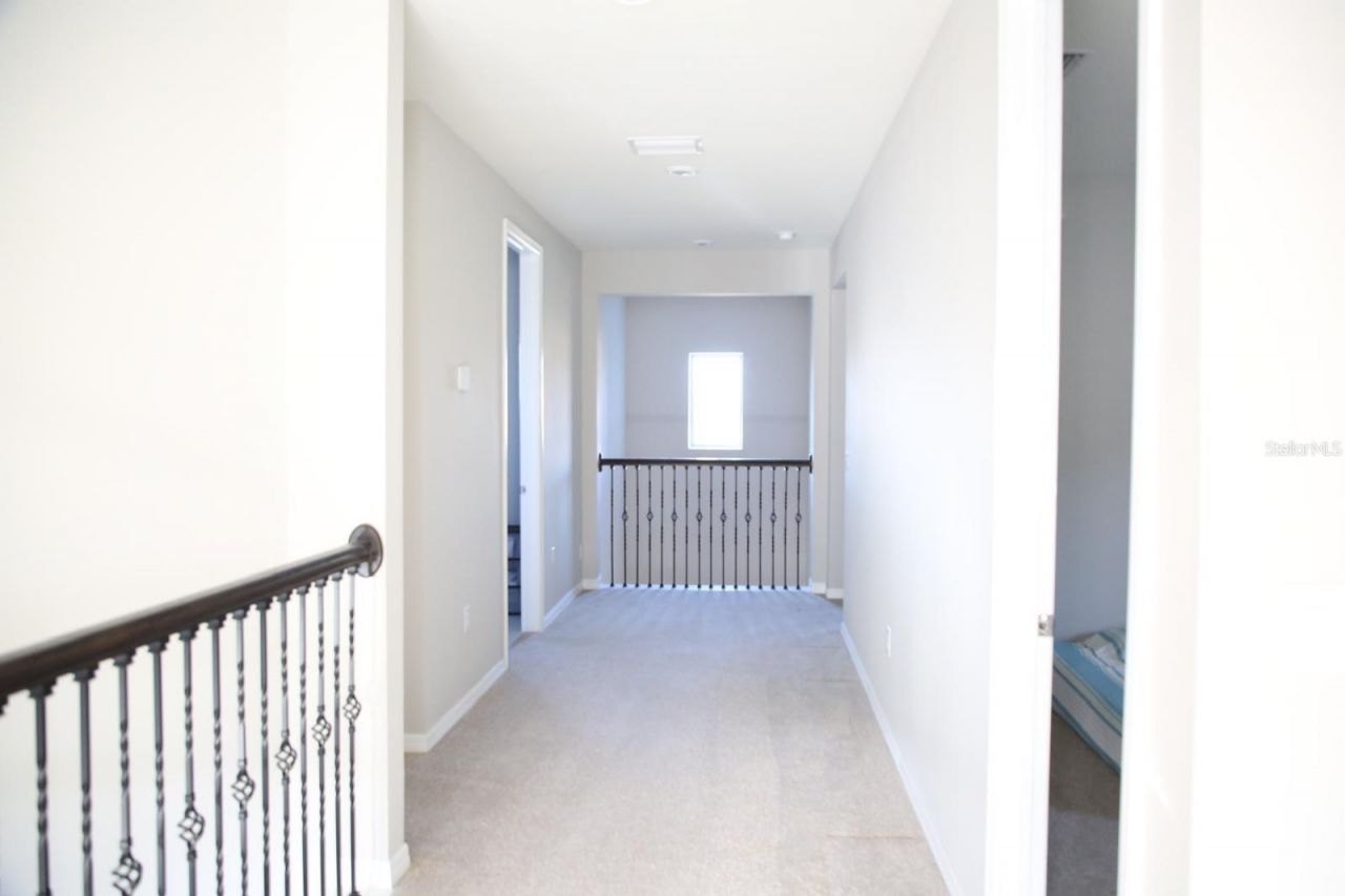 18783 Birchwood Groves Drive, Lutz, FL 33558 Photo