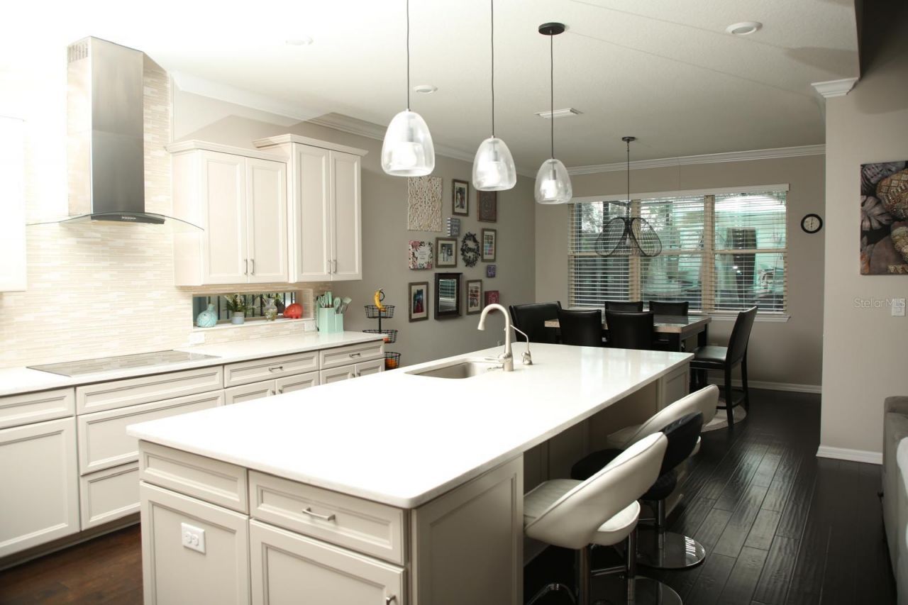 18783 Birchwood Groves Drive, Lutz, FL 33558 Photo