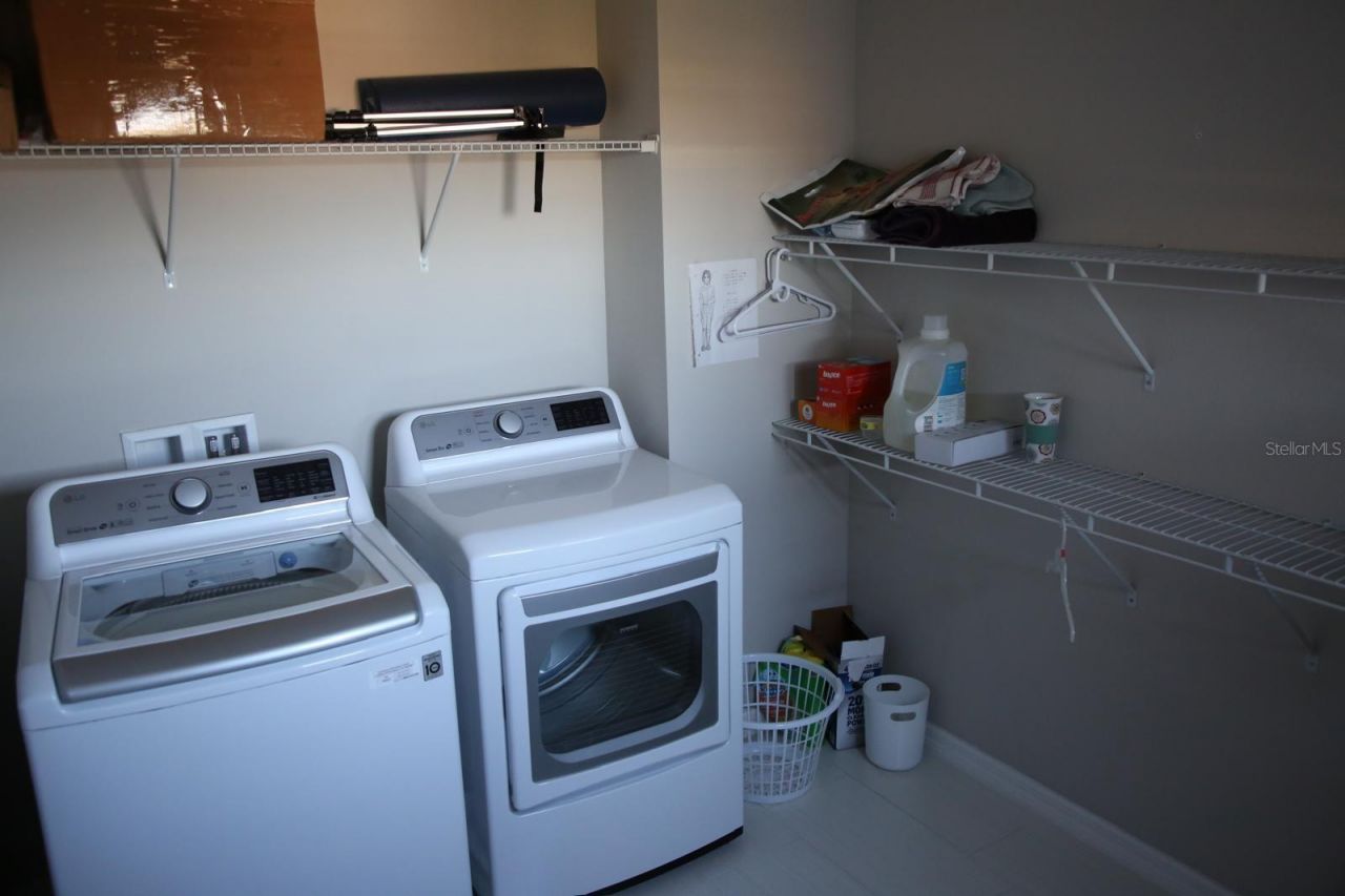 18783 Birchwood Groves Drive, Lutz, FL 33558 Photo