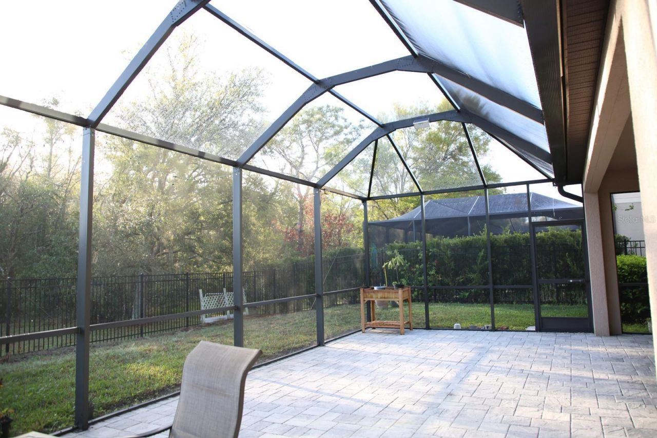 18783 Birchwood Groves Drive, Lutz, FL 33558 Photo