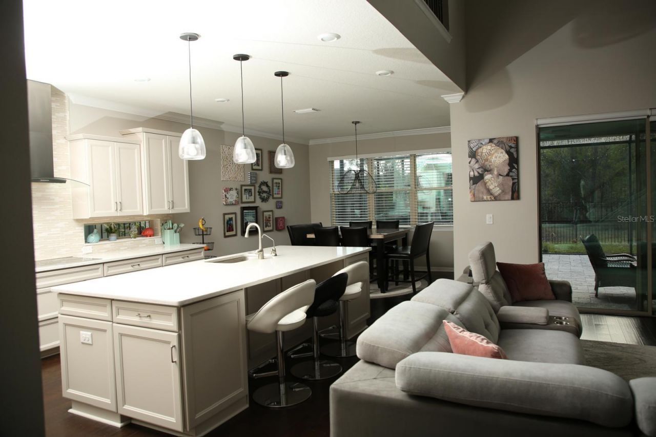 18783 Birchwood Groves Drive, Lutz, FL 33558 Photo