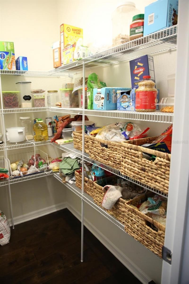 18783 Birchwood Groves Drive, Lutz, FL 33558 Photo