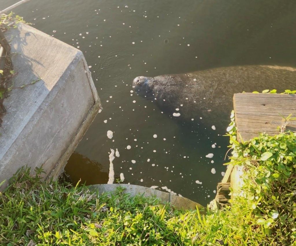 632 Shore Drive , Largo, FL 33771 Photo