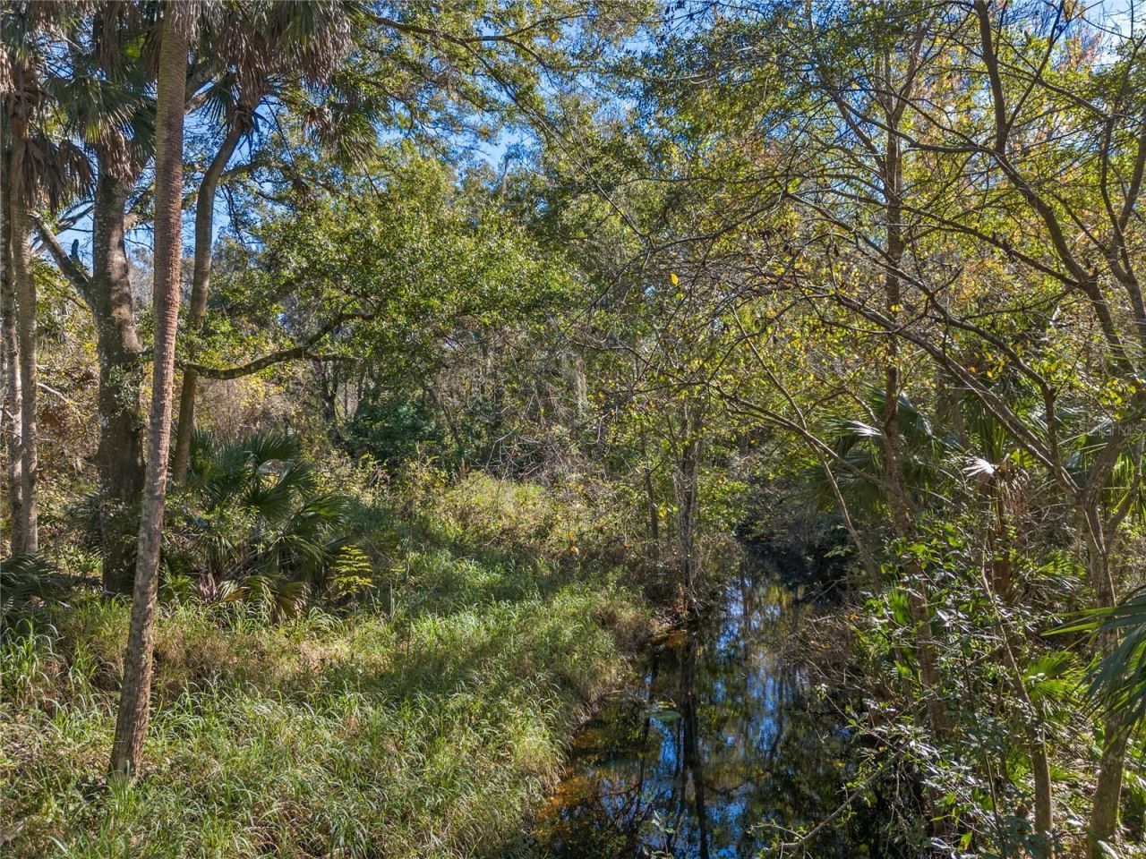 13524 Corkwood Lane , Astatula, FL 34705 Photo