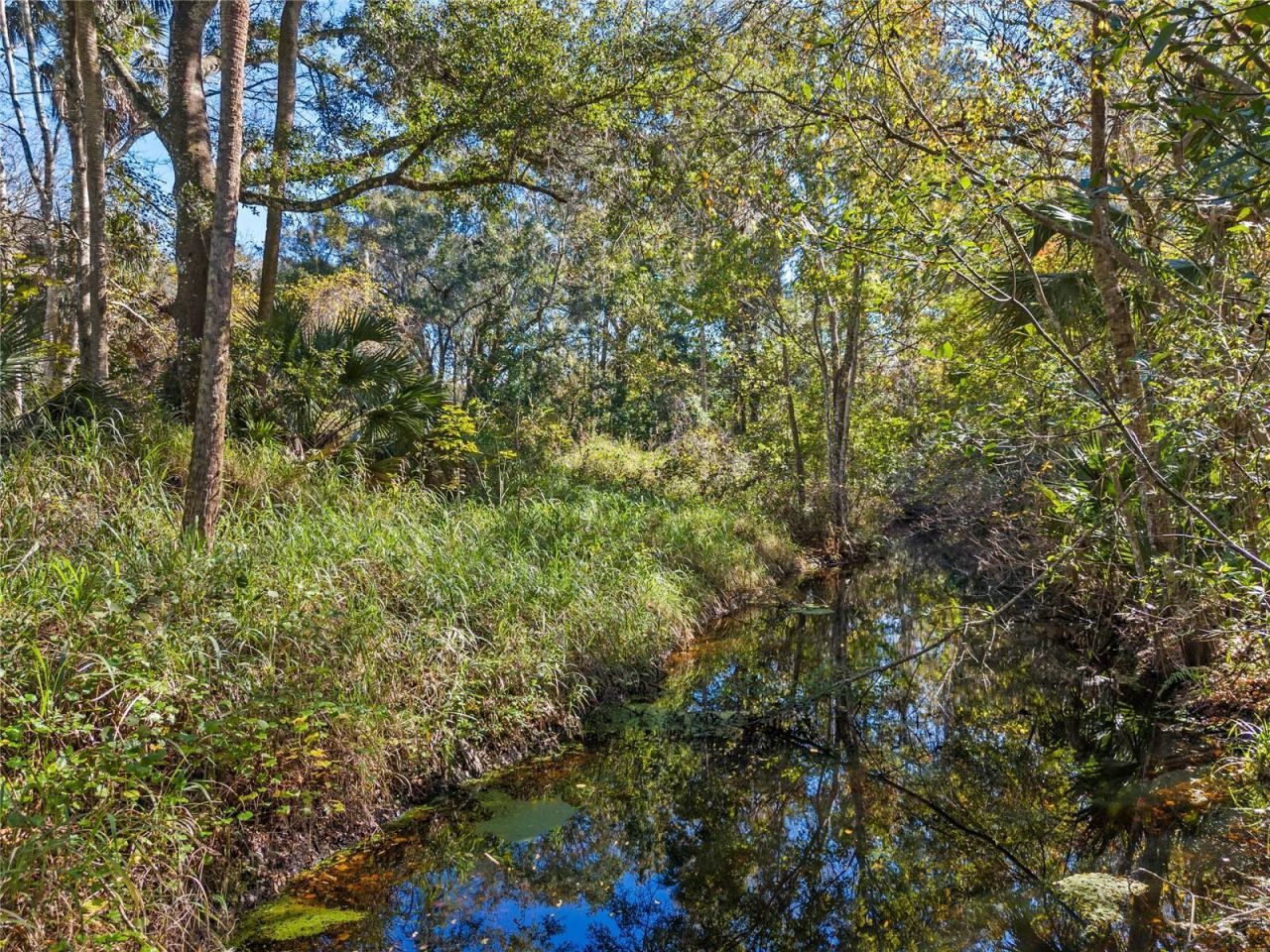 13524 Corkwood Lane , Astatula, FL 34705 Photo