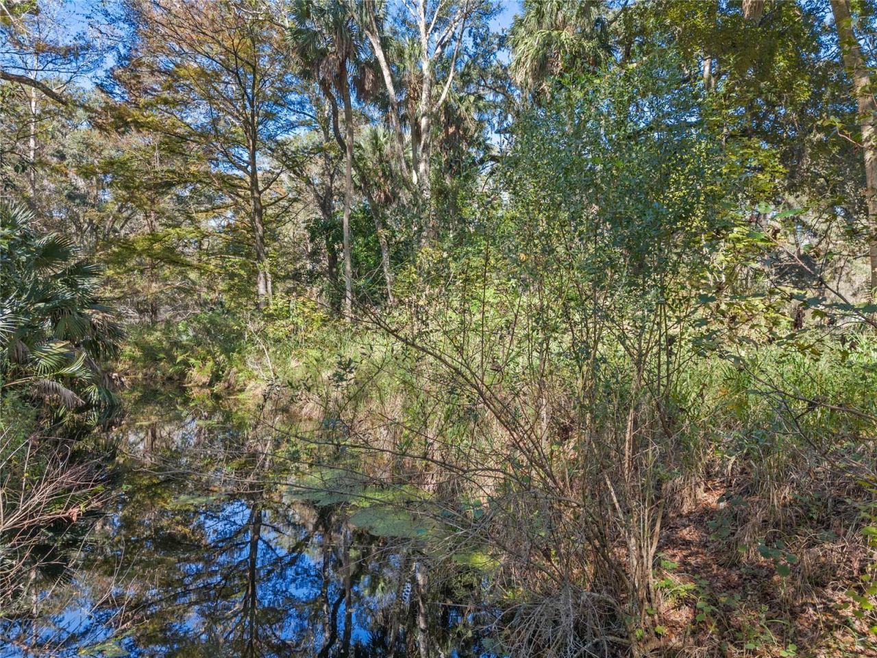 13524 Corkwood Lane , Astatula, FL 34705 Photo