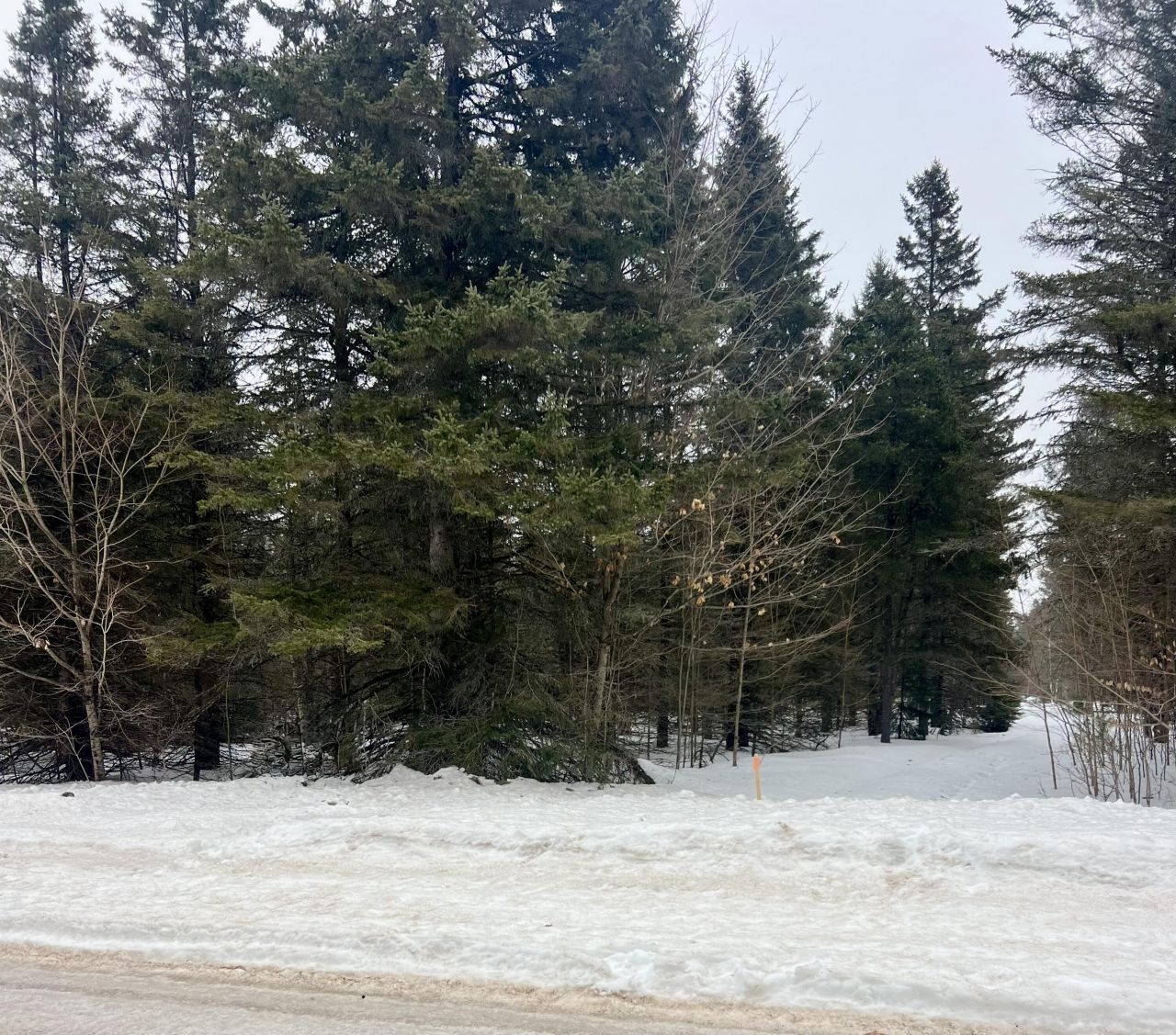 25709 S Fairview Rd, Pickford, MI 49774 Main Photo