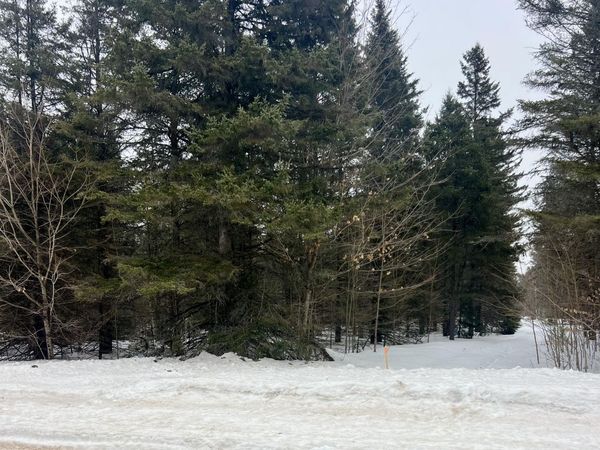 25709 S Fairview RD, Pickford, MI 49774