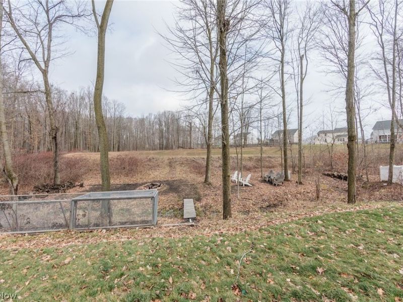 6394 Hooper Drive, Medina, OH 44256 Photo 45