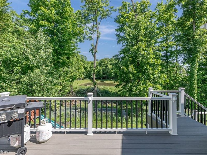 6394 Hooper Drive, Medina, OH 44256 Photo 46