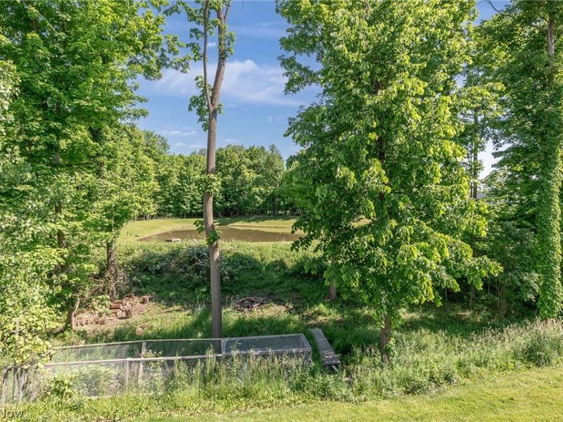 6394 Hooper Drive, Medina, OH 44256 Photo 47