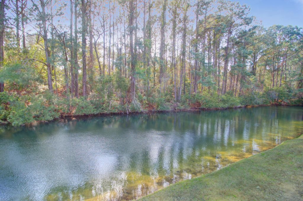 3061 Monhegan Way Photo 48