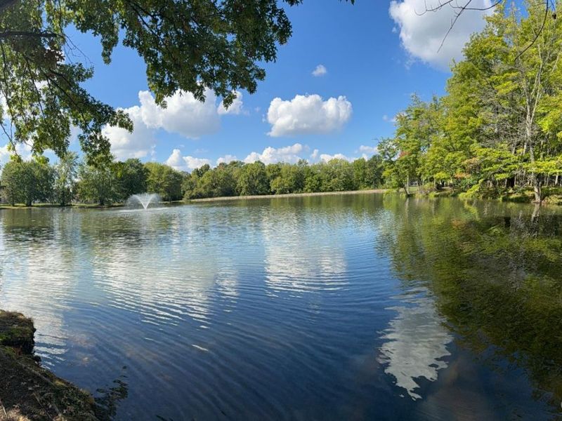 3692 Shag Bark, Batavia Twp, OH 45102 Photo 41