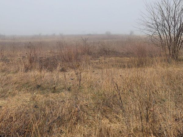 62nd Street, Fennville, MI 49408