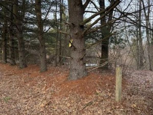 4311 S Youngman Road, Greenville, MI 48838