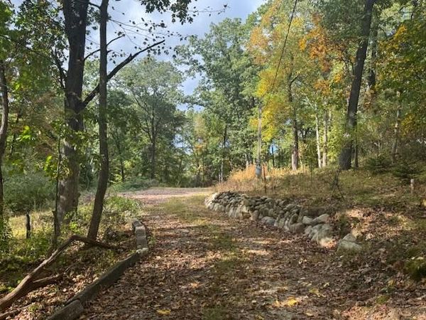 20692 Hidden Lake Drive, Chelsea, MI 48118