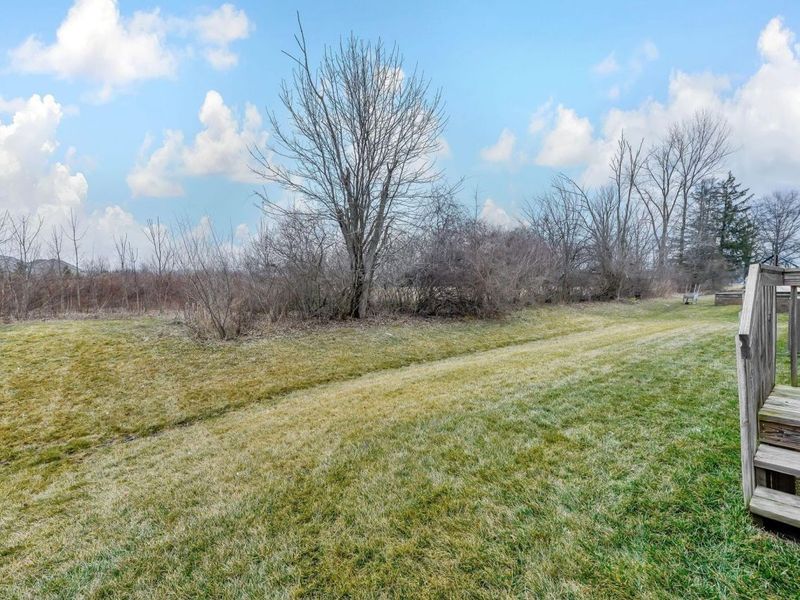 9356 Hildebrand Drive, Plain City, OH 43064 Photo 54