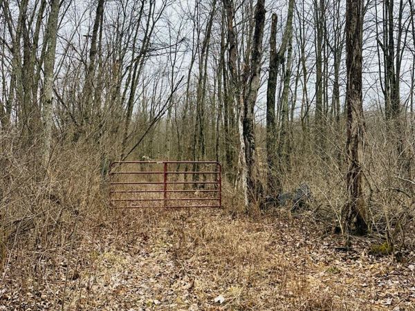 3505 Starling Road, Tate Twp, OH 45106