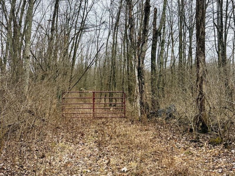 3505 Starling Road, Tate Twp, OH 45106 Photo 1