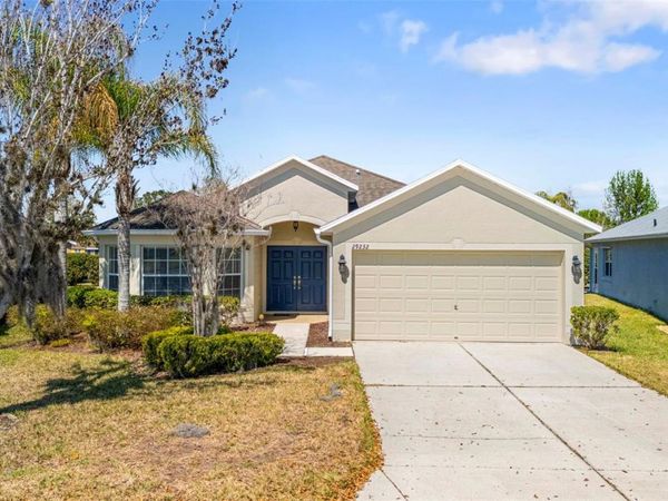 29232 COHARIE LOOP , SAN ANTONIO, FL 33576