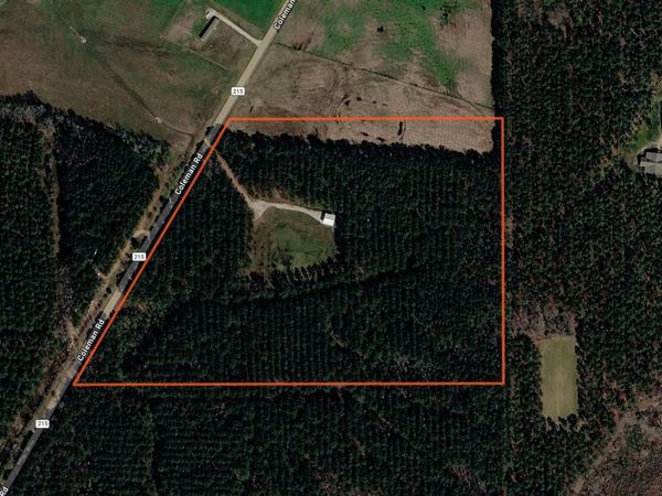 Coleman Road, Thaxton, MS 38871