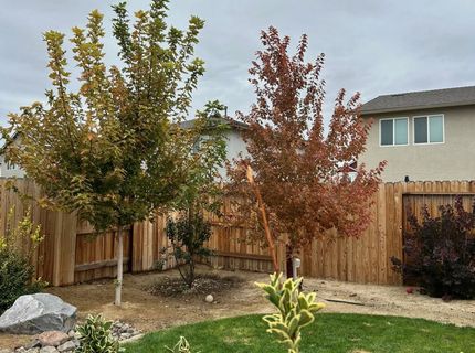 1386 Granary Park Avenue, Sparks, NV 89436 Photo