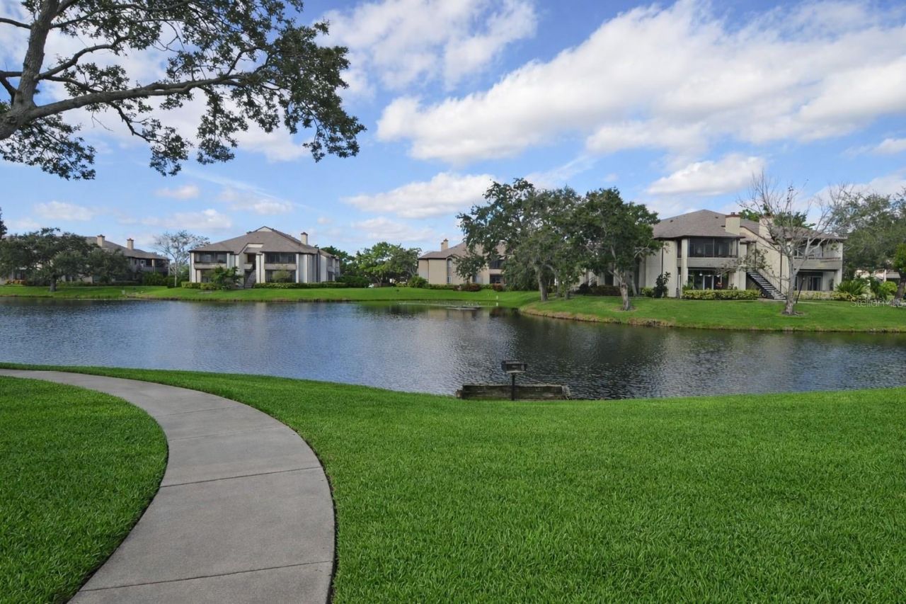 10263 Gandy Boulevard N, Unit 305, Saint Petersburg, FL 33702 Photo