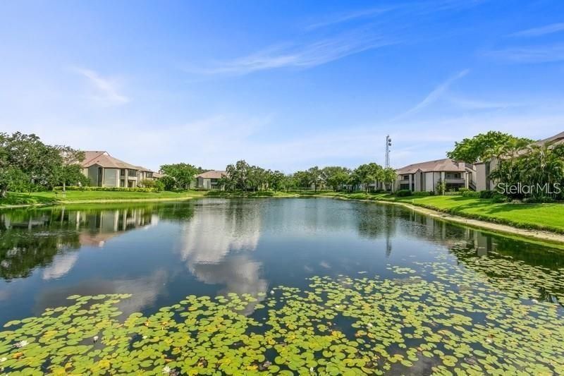 10263 Gandy Boulevard N, Unit 305, Saint Petersburg, FL 33702 Photo