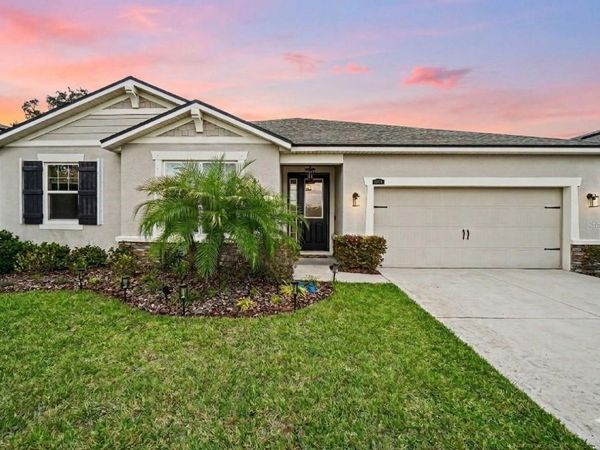 11406 BLUE WOODS DRIVE , RIVERVIEW, FL 33569