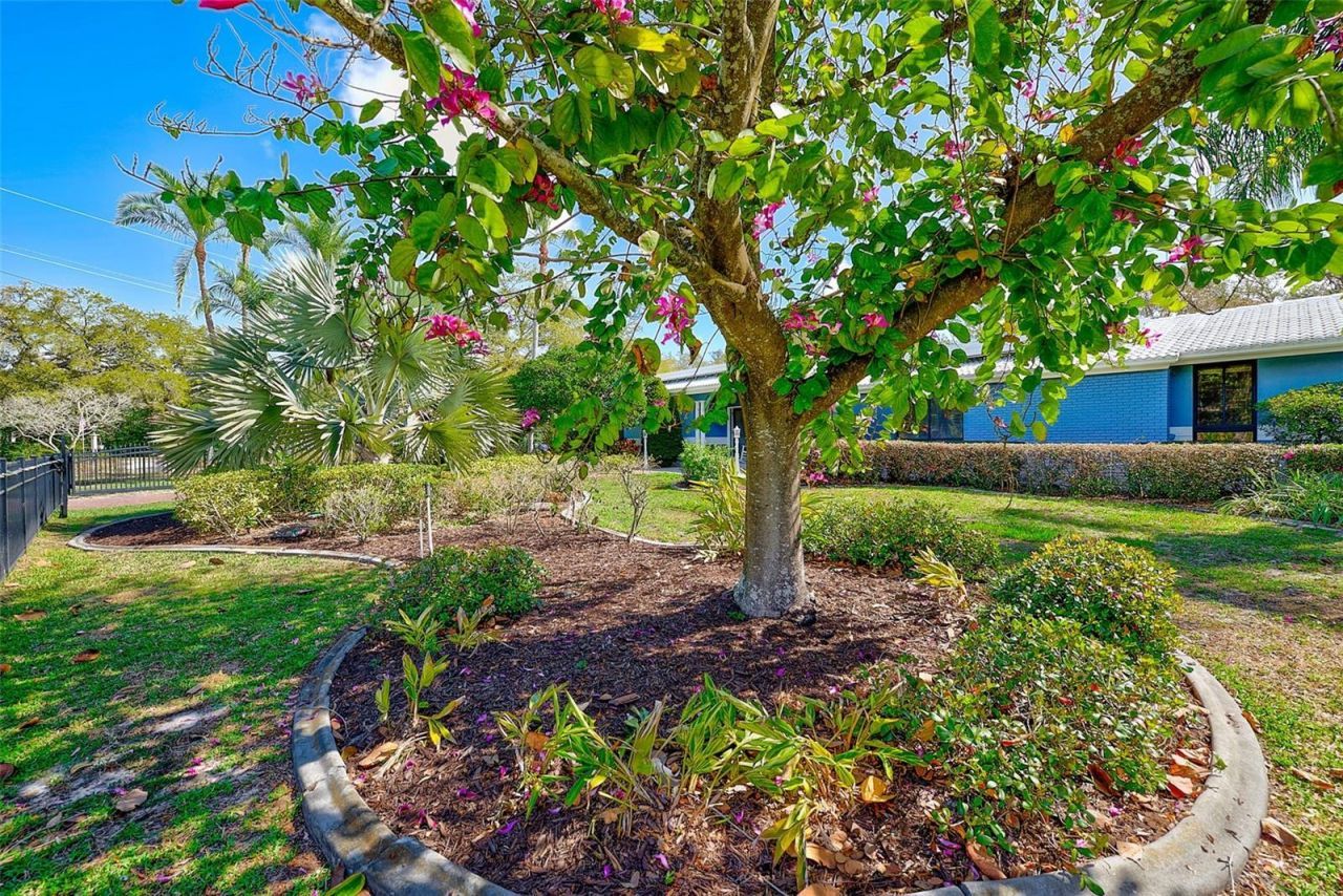 1725 Long Bow Lane, Clearwater, FL 33764 Photo