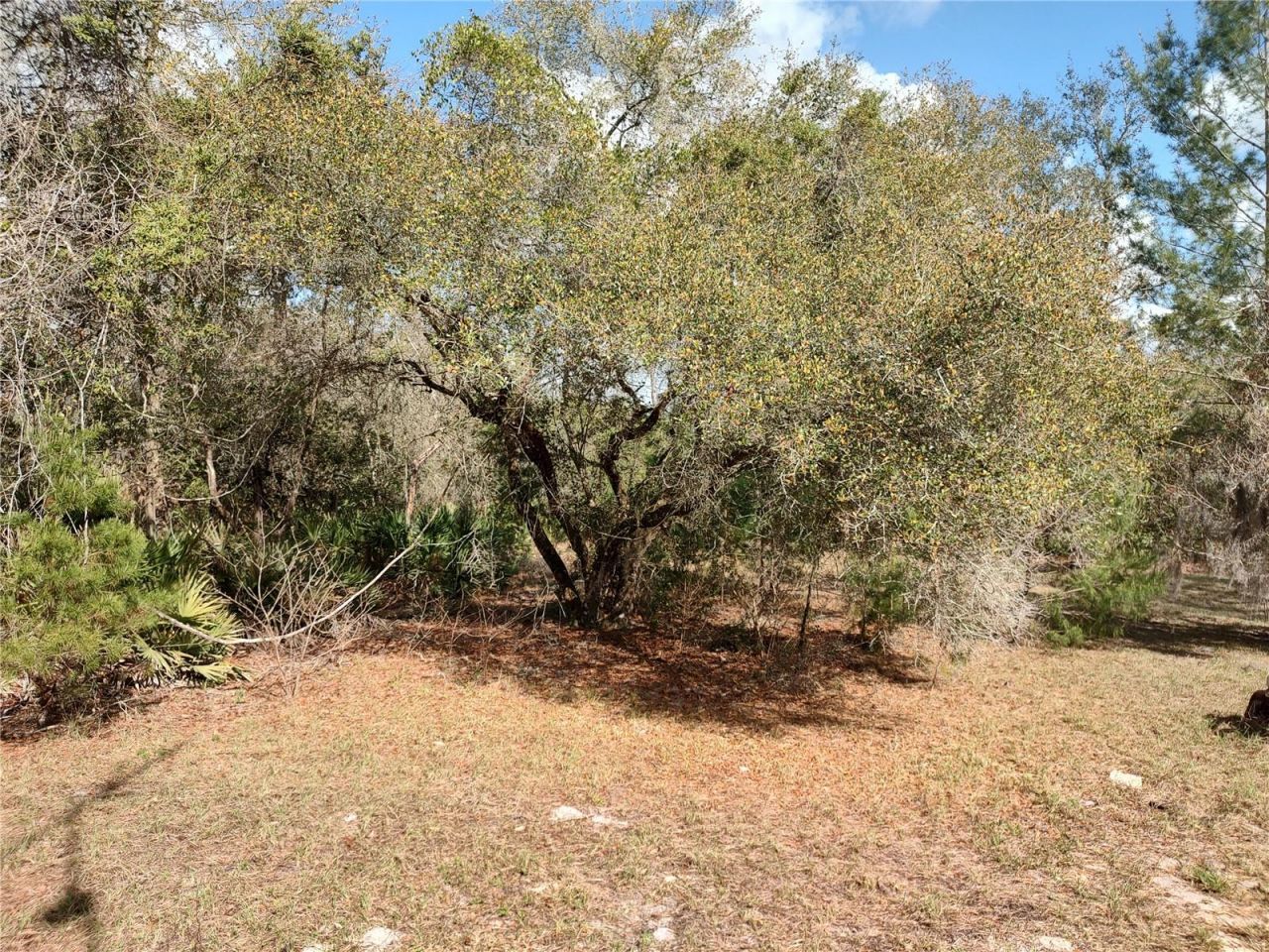 1251 Seminole Drive, De Leon Springs, FL 32130 Photo