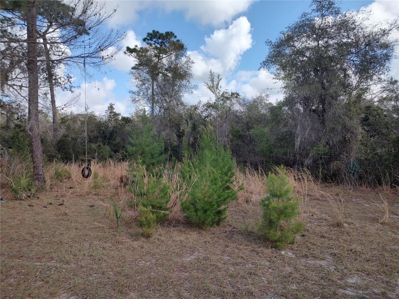 1251 Seminole Drive, De Leon Springs, FL 32130 Photo