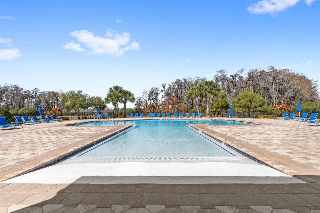 12006 Sawgrass Reserve Boulevard, Orlando, FL 32824 Photo