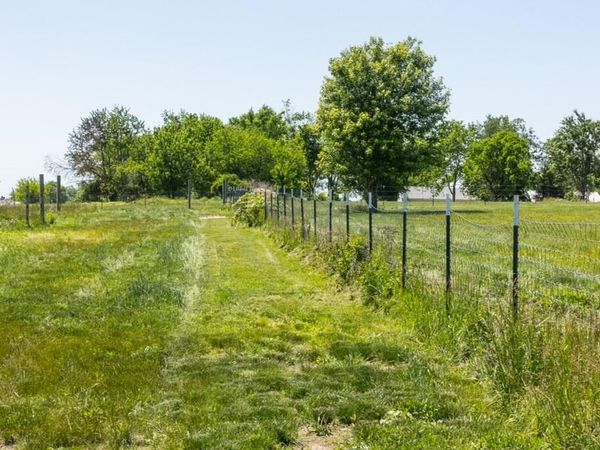 1744 N Farm Road 71, Bois D Arc, MO 65612