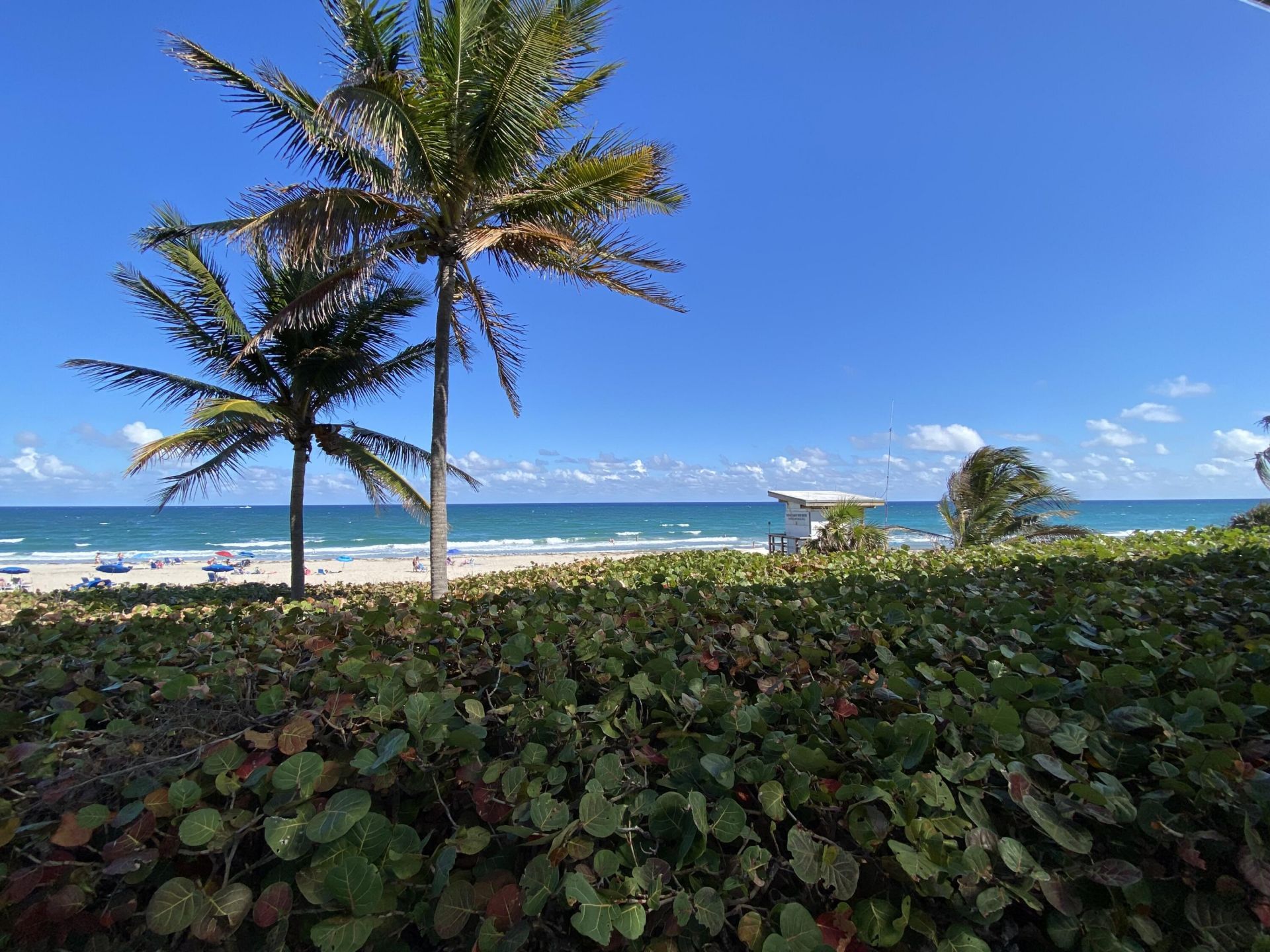 2191 NE 1st Court, Unit 202, Boynton Beach, FL 33435 Photo