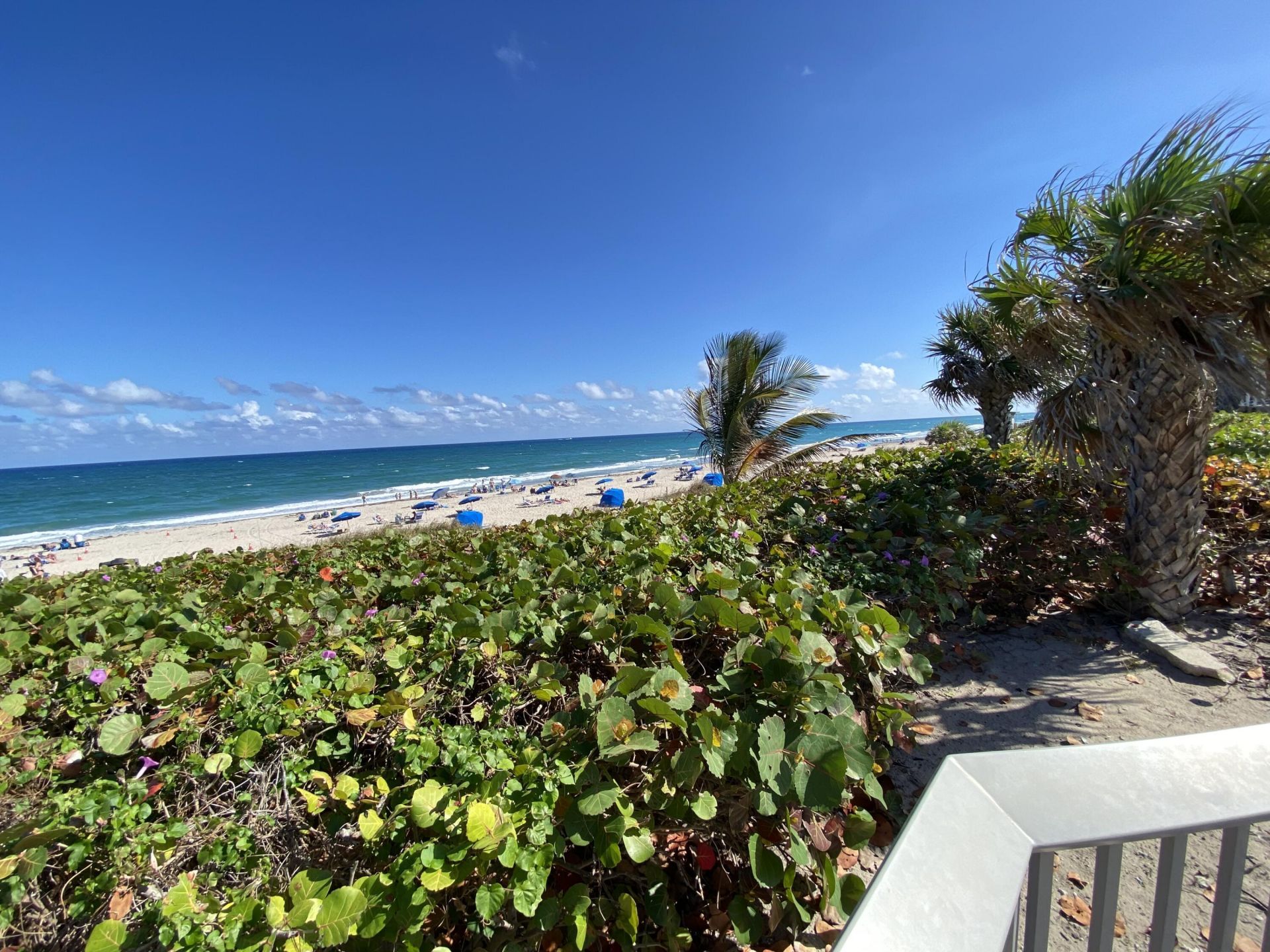 2191 NE 1st Court, Unit 202, Boynton Beach, FL 33435 Photo