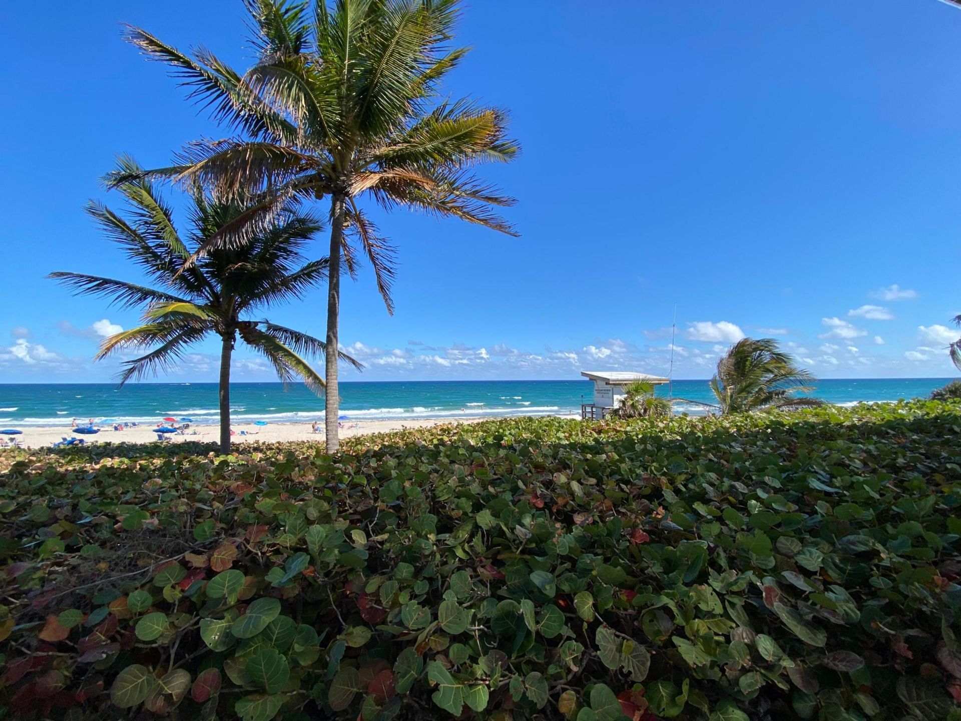 2191 NE 1st Court, Unit 202, Boynton Beach, FL 33435 Photo