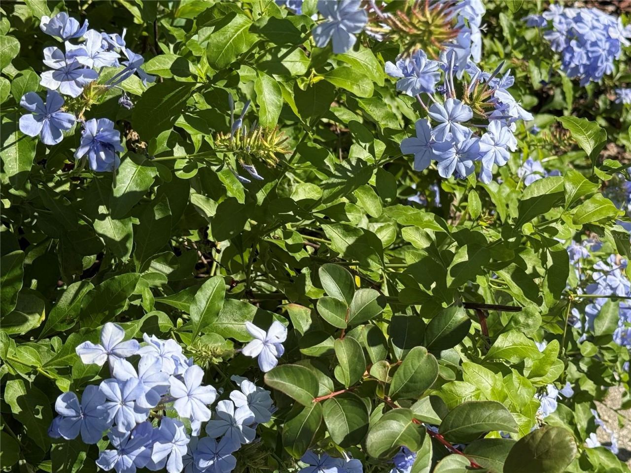 33015 Sahara Court, Sorrento, FL 32776 Photo