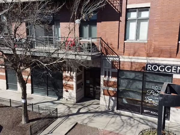 800 W Cornelia Avenue, Unit 209, Chicago, IL 60657